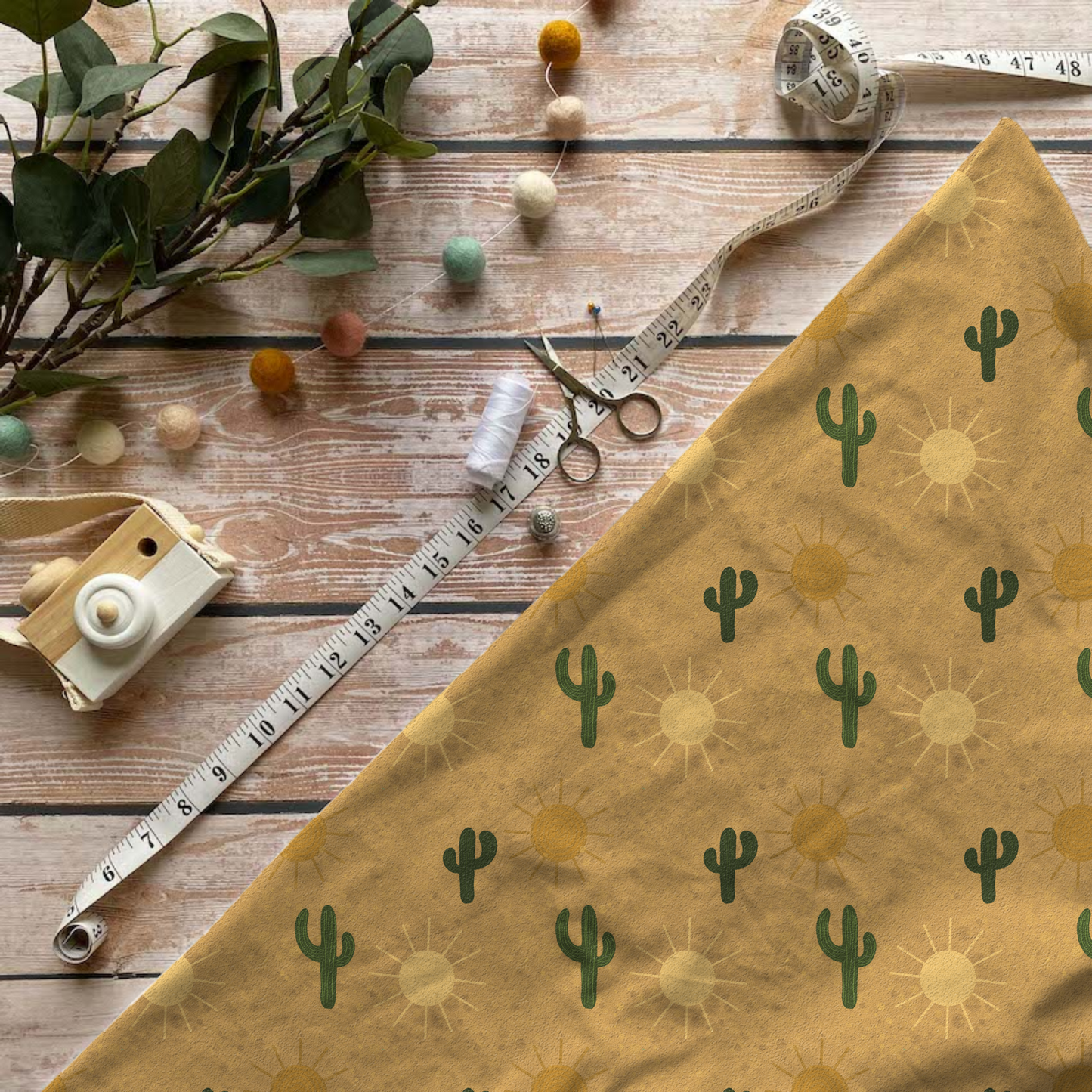 Sunshine Cacti